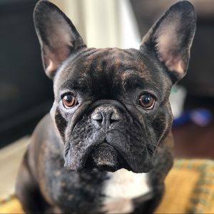 Meet your Posher, Luke